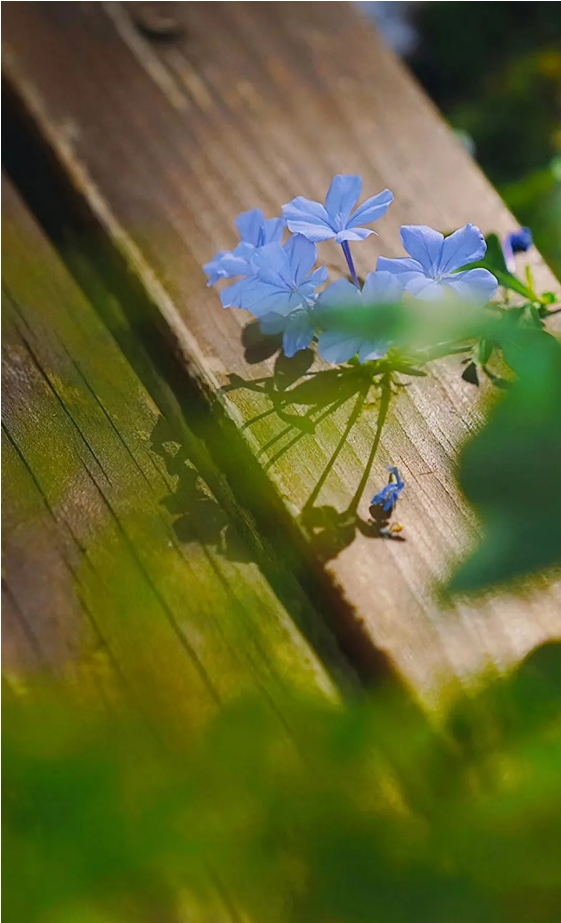 1729663407404412.png ddf21152-9c7e-42dd-882c-507ad5234594.png