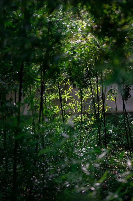 1729663504950227.png 7f6691a8-30a1-4036-98f5-a8a5dcce4280.png